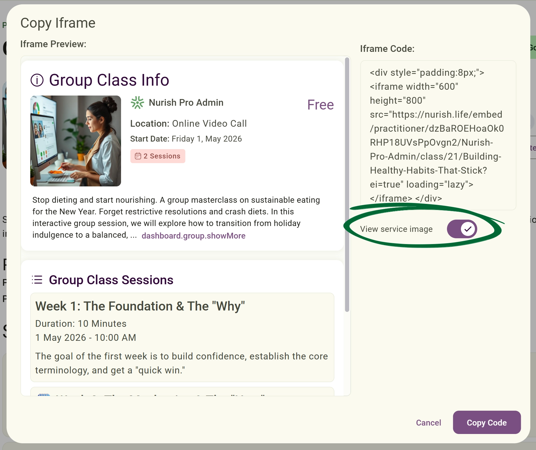 iframe display options  screenshot